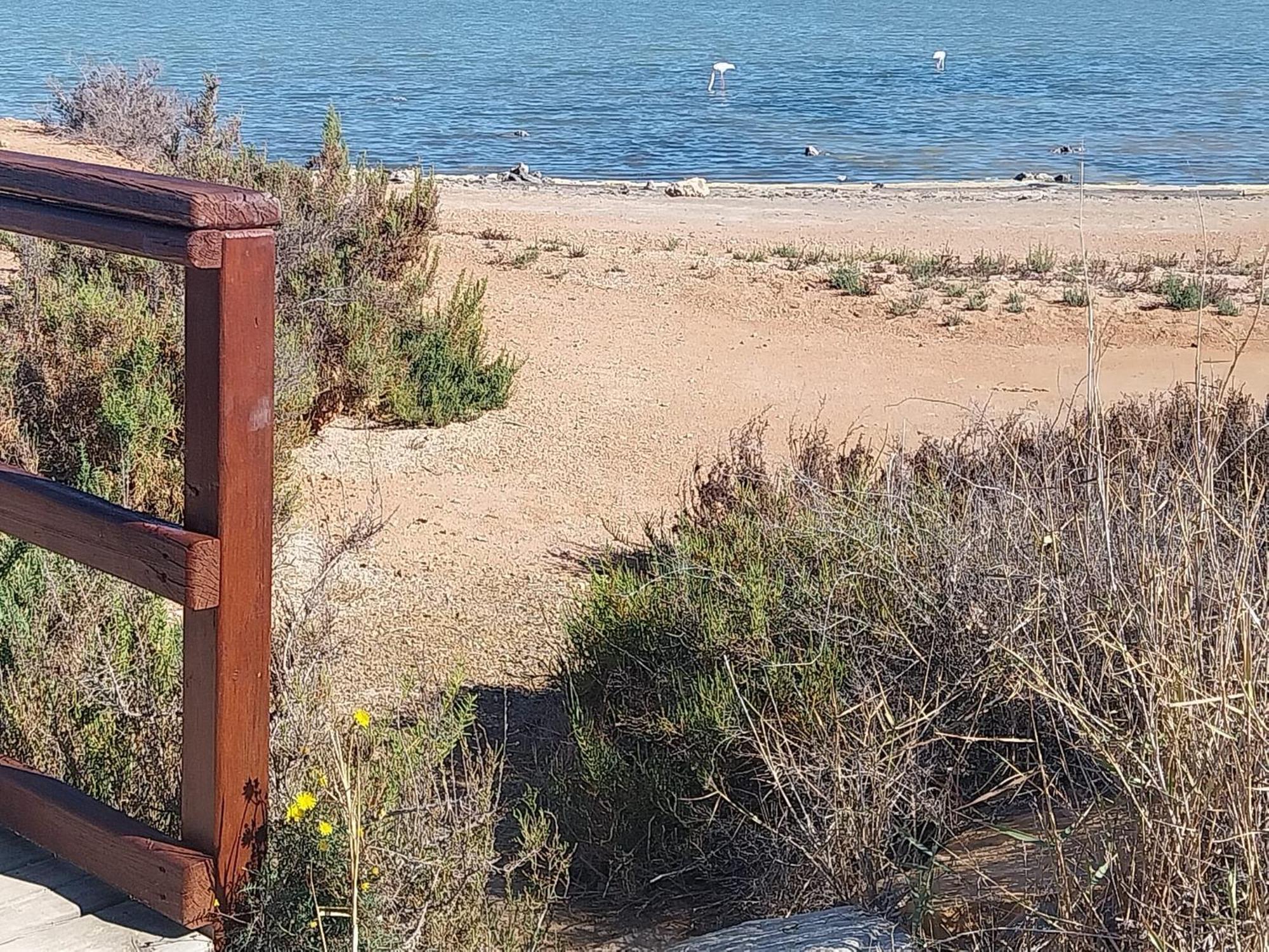 San Pedro Del Pinatar Lo Pagan, Calle Gibraltar 19 - App 2A Zewnętrze zdjęcie